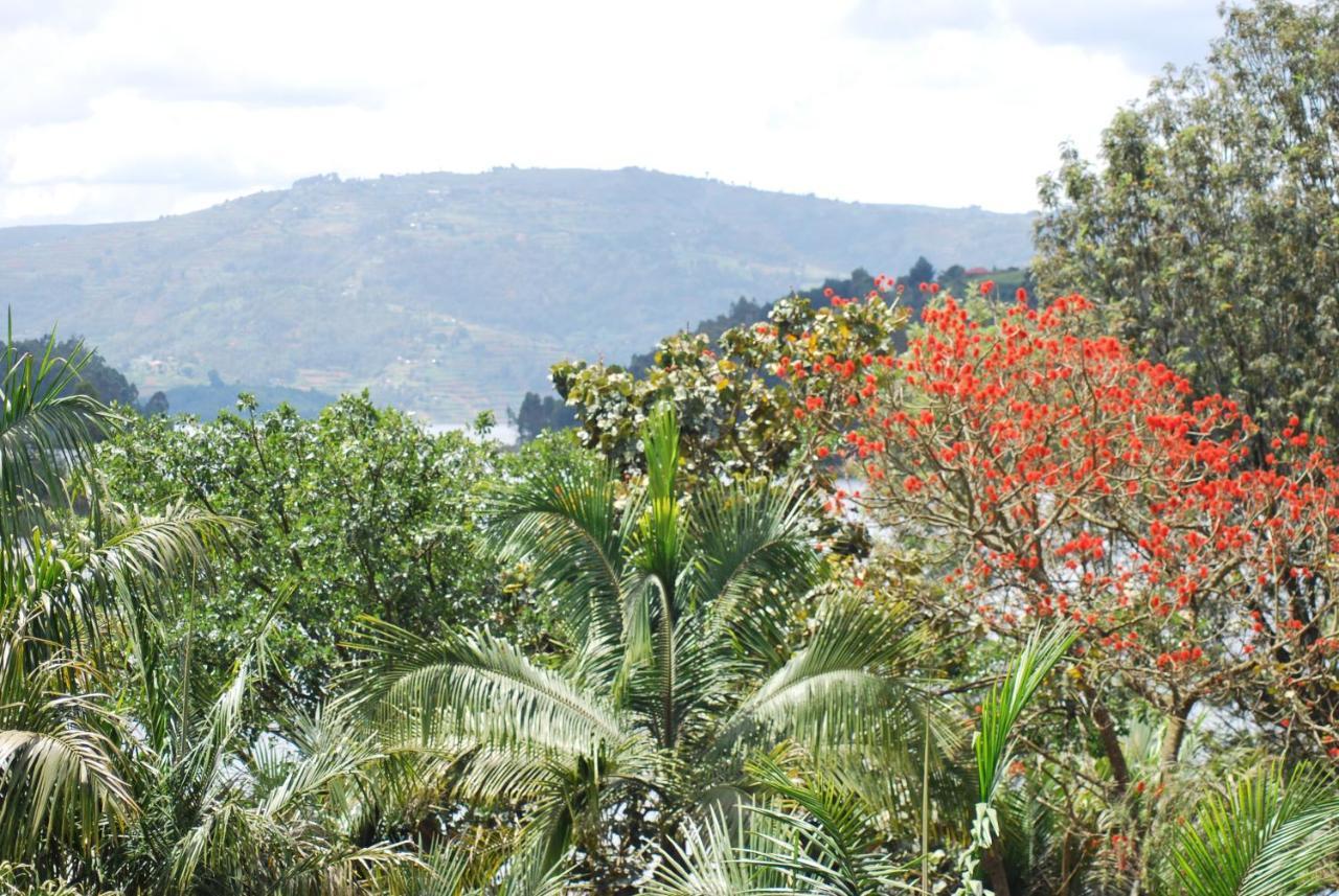 Crater Bay Cottages Kabale Exterior photo