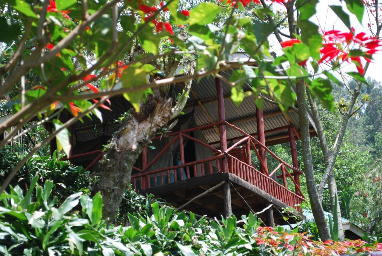 Crater Bay Cottages Kabale Exterior photo