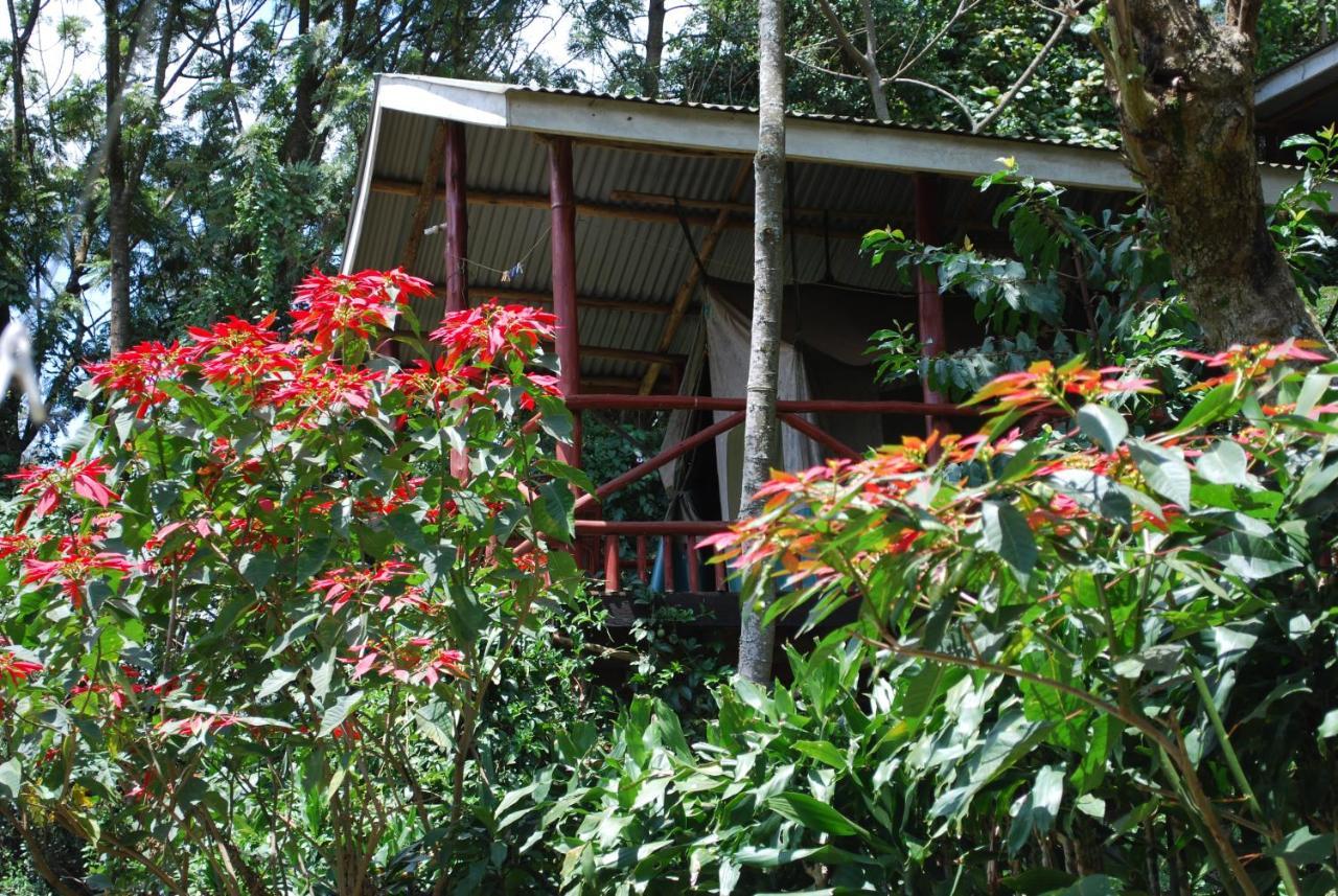 Crater Bay Cottages Kabale Exterior photo